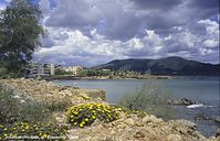 Spanien-Mallorca-Cala-Millor-2005-106.jpg