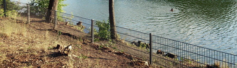 4. 9. 2009. Berlin. Mitte. Wedding. Park Rehberge. Plötzensee. Zaun