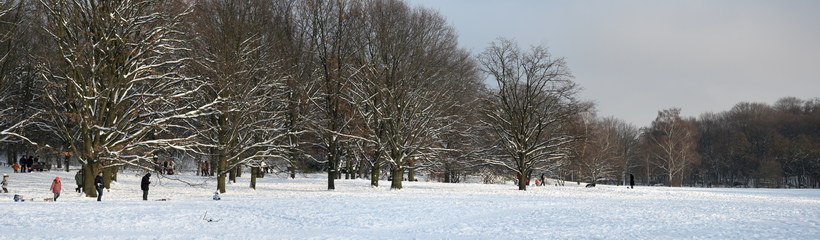 3. 1. 2010. Berlin. Mitte. Wedding. Verschneiter Park Rehberge im Winter. Schnee. Rodelbahn
