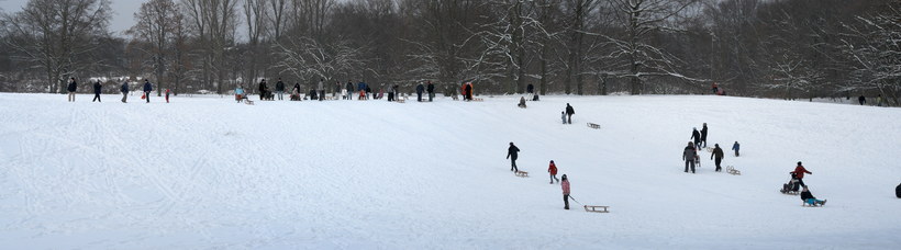 3. 1. 2010. Berlin. Mitte. Wedding. Verschneiter Park Rehberge im Winter. Schnee. Rodelbahn