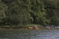 21. Juni 2005. Mecklenburg-Vorpommern. Feldberger Seen. Sonnende Frau am Dreetzsee. Erotik