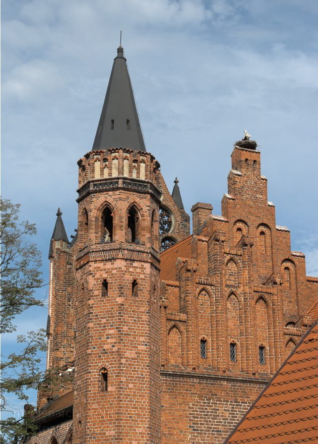 22. 7. 2009. Sachsen-Anhalt. Tangermünde. Kleinstadt an der Elbe in der Altmark. Altstadt. Rathaus. Der Ostflgel wurde um 1430 erbaut. Ca. 50 Jahre spter wurde ein quergerichteter Anbau hinzugefgt.