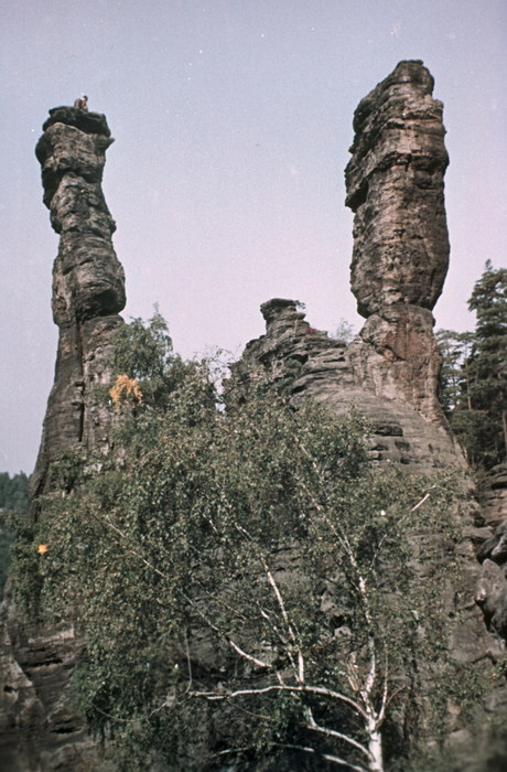 1950er. Sachsen. Elbsandsteingebirge