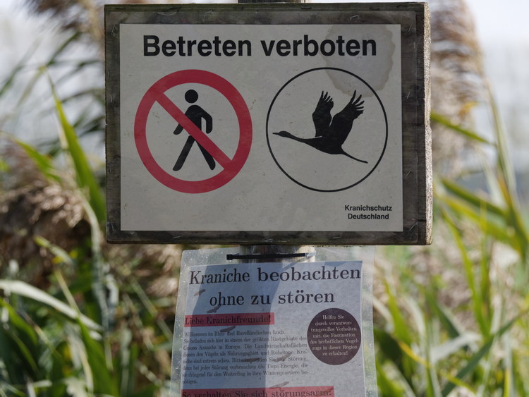 Kranichschutz. Betreten verboten