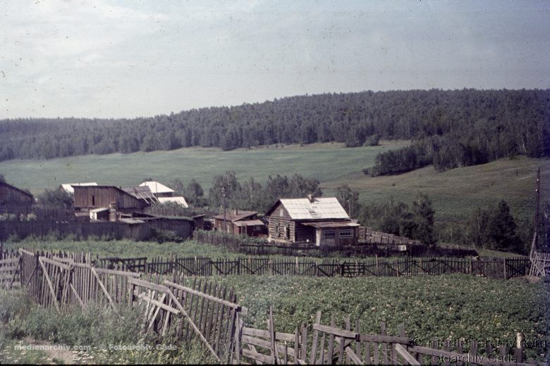 1970. Sowjetunion. Russische Föderation. Russland. Irkustk. Taiga.